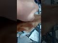 قطاقطة قطاقطة