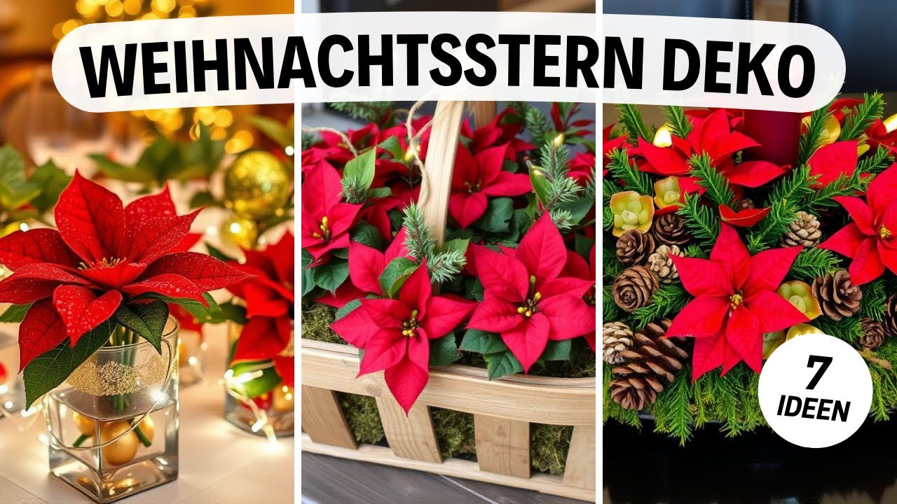 Weihnachtsstern Deko - 5 wunderschne Ideen fr drinnen und drauen