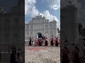 Tradición, danza y color: así se vive el Festival de las Flores y las Palmas en Panchimalco