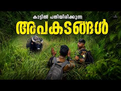 The Most Adventurous One-Day Forest Trekking | Thondiyar Border Hiking - Periyar Tiger Reserve