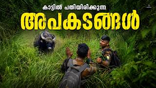 The Most Adventurous One-Day Forest Trekking | Thondiyar Border Hiking - Periyar Tiger Reserve