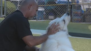 Onslow County Animal Services lowers adoption price on animals for July