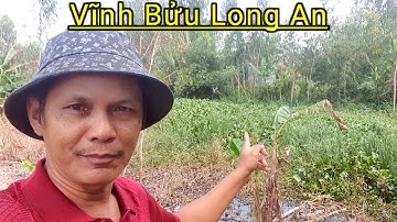 Câu cá rô đồng cá trắng đi càng xa sân cá cả ngày không mệt ]