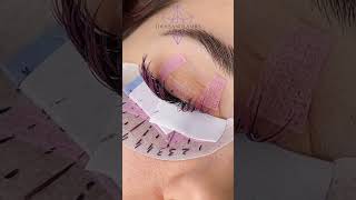 Lash Series: Barbie Lash Set #lashcommunity #lashaddict #beautyindustry