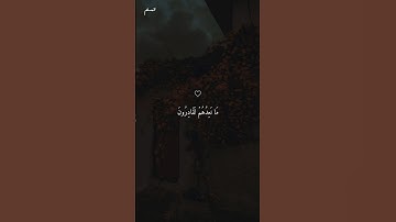 تلاوة خاشعة ومؤثرة بصوت الشيخ ماهر المعيقلي ارح سمعك ♡ #ماهر_المعيقلي #short