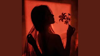 Velvet Nights