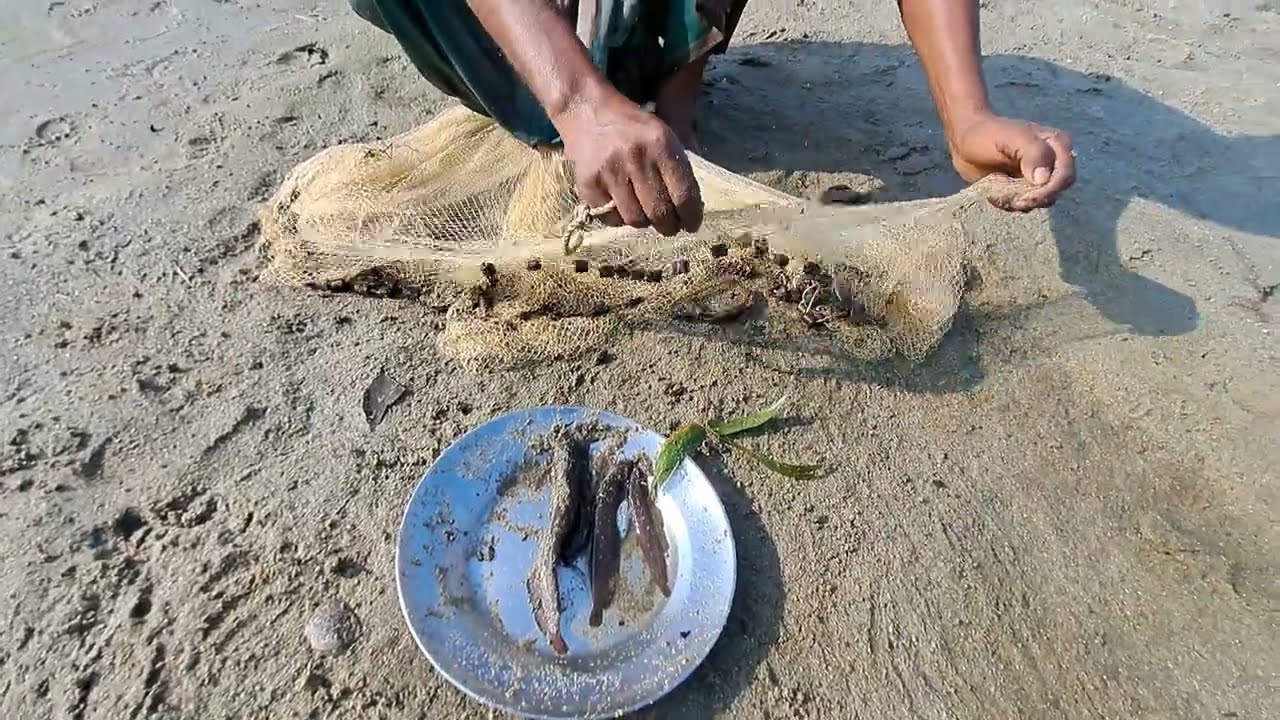 Amazing Village Net Fishing Video | Traditional Fishing Video in river side 😱 