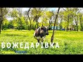 Украина изнутри: пгт. БОЖЕДАРОВКА | ЩОРСК. Україна зсередини: смт. БОЖЕДАРІВКА | ЩОРСЬК