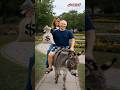 Putin Stole Trump’s Money & Girlfriend 😂 #shorts #viralvideo #trending #funny