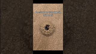 Pov: sua primeira noite no minecraft...