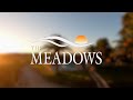The meadows  treatment facility overview