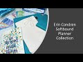 Erin Condren Softbound Collection