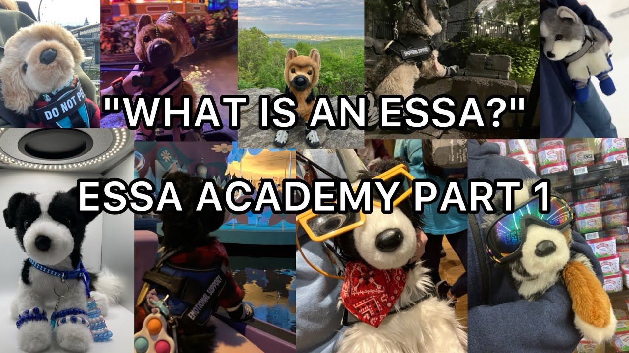 What is an ESSA? \ ESSA ACADEMY EPISODE 1 - YouTube