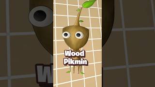 Our FINAL Pikmin Type? #pikmin Information