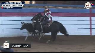 LOTE 173 - CONTRATISTA