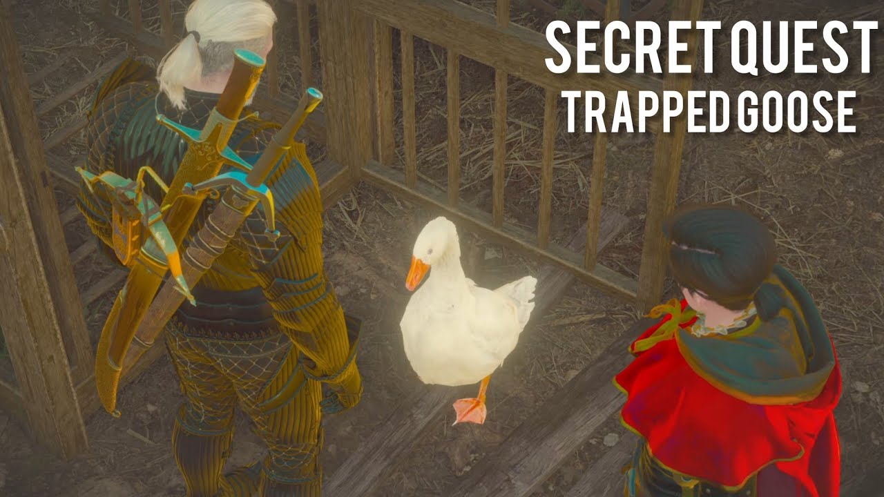 You Probably Missed This Ridiculous Secret Quest in Witcher 3