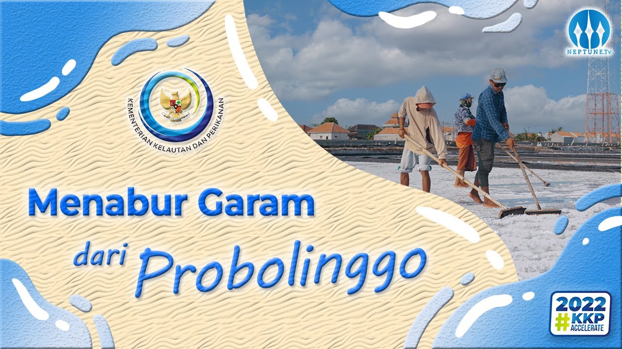 Menabur Garam Dari Probolinggo
