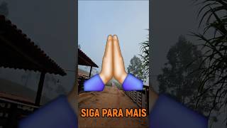 DIA A DIA NA LIDA #fazenda #viral #gado #fe