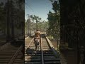 Horse Riding Across Different Locations in RDR2