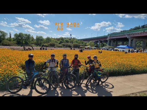 창릉천 코스모스 축제 라이딩 2310 #ebike #산악자전거 #자전거동호회 #자전거여행