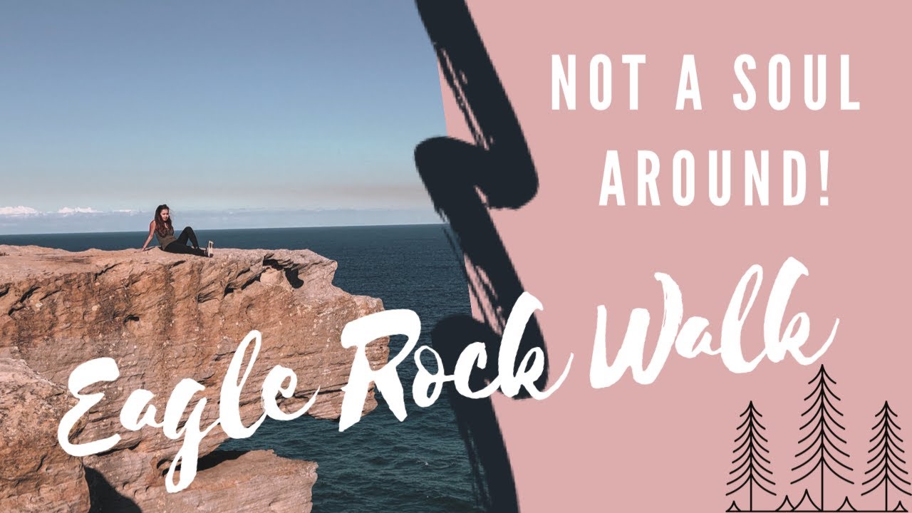 Clifftop Walk at Royal National Park | Best Walks Near Sydney Part 2