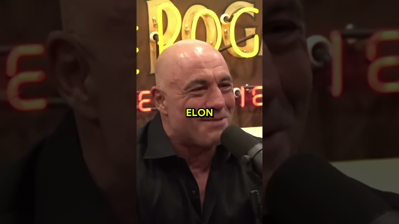 Joe Rogan LAUGHS At Donald Trump's Jokes