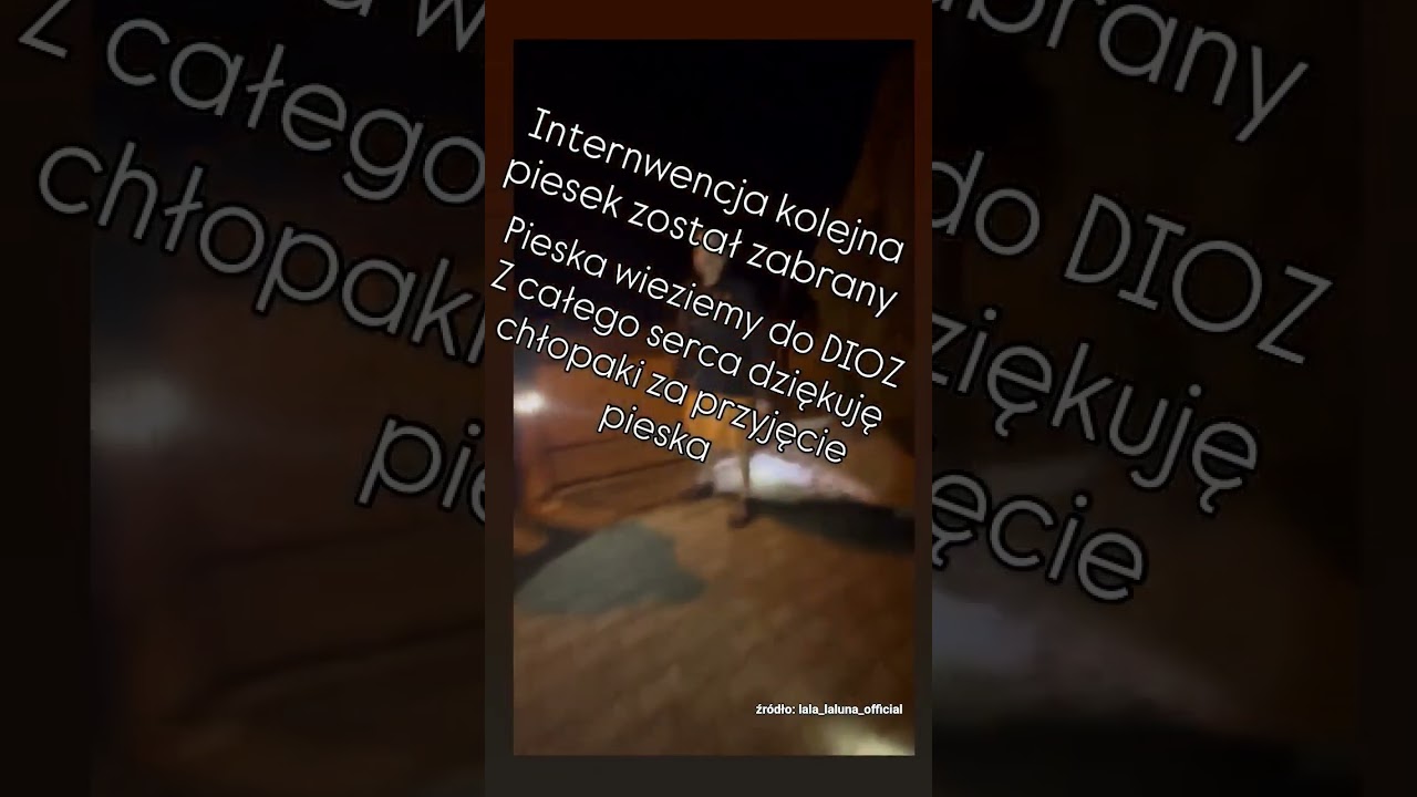 Interwencja w wykonaniu Laluny cz.1🐶 