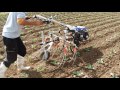 【キュウホー Q-HOE】管理機用除草機　Cabbage