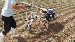 【キュウホー Q-HOE】管理機用除草機　Cabbage