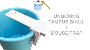 Unboxing Walk Plank Mouse Mice Rat Trap Rodent Rat
