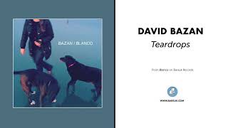 David Bazan "Teardrops" (Official Audio)