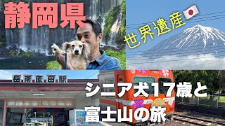 【シニア犬】17歳0ヶ月 世界遺産！富士山を見にお出かけ