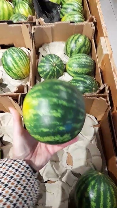 🍉🤏🤩Мини-арбузик - YouTube