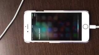 SIRI, Какая погода в Севастополе? screenshot 2