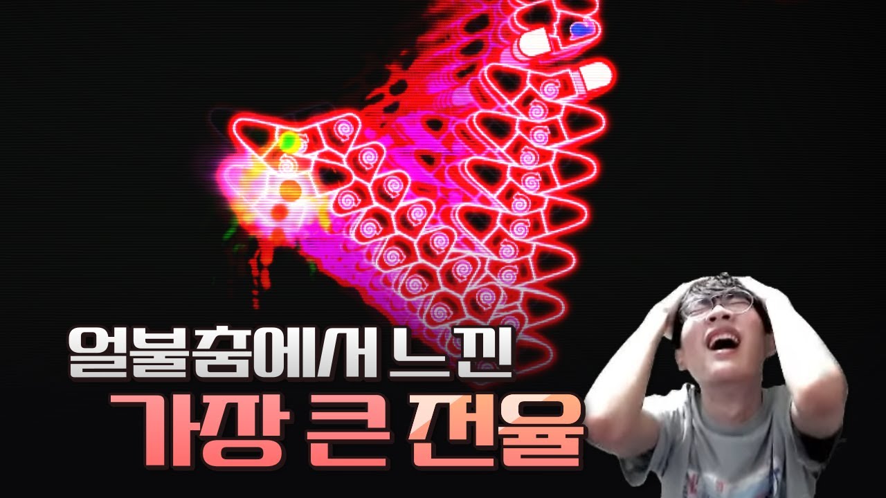 관상용은 이거 하나면 끝납니다... 무조건 보세요