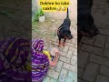 Nakhre dekh rhe ho iske🤣🤣#shortsfeed #youtubeshorts #cutedog #cuteanimal #anmals #shortsviral #2025