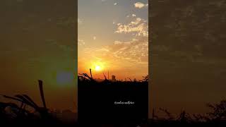 Sunset Aesthetically Pleasing View