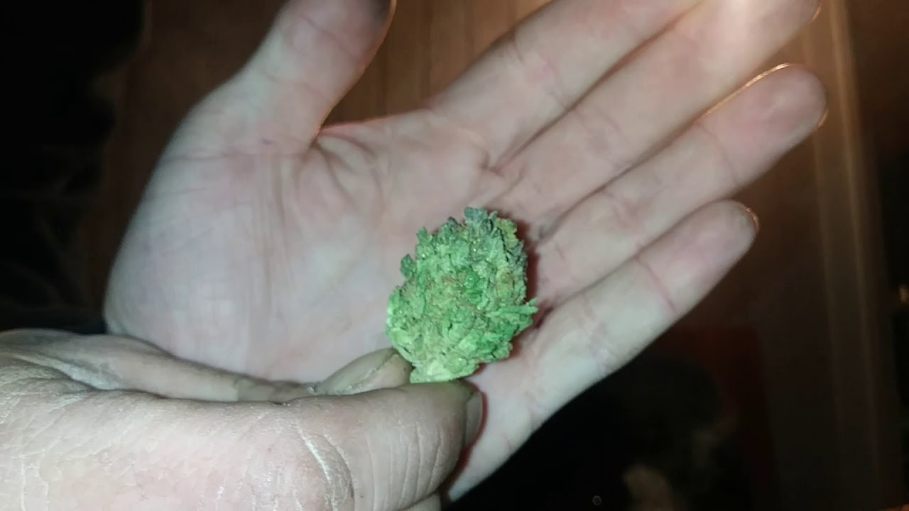 BACKWOODS SESH!!/NO MORE INSTAGRAM