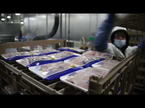 Winner, Winner, Packaging Your Chicken Dinner (Ossid NextGen 500E at Miller Poultry) thumbnail