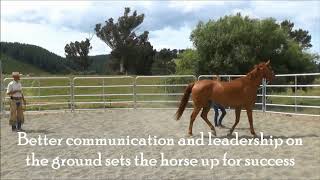 Trailer for Problem Solving Clinic Series