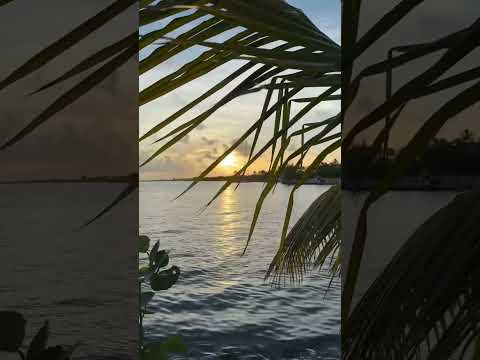 Хавас килманг (Абдуллох