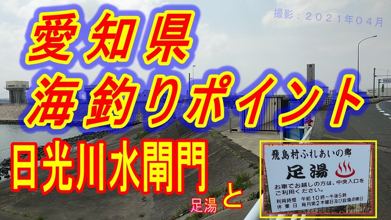 愛知県 海釣り ポイント 日光川水閘門 飛島村 撮影 ２０２１年４月 足湯も紹介するよ Youtube