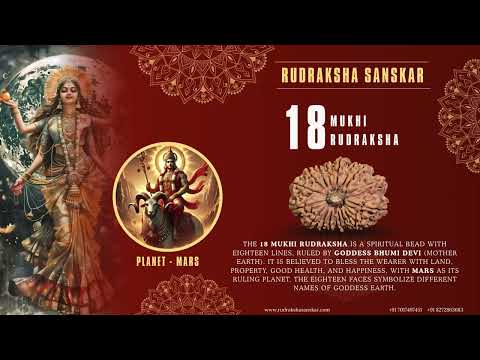 #18mukhi #Nepali #rarerudraksha #rudrakshasanskar