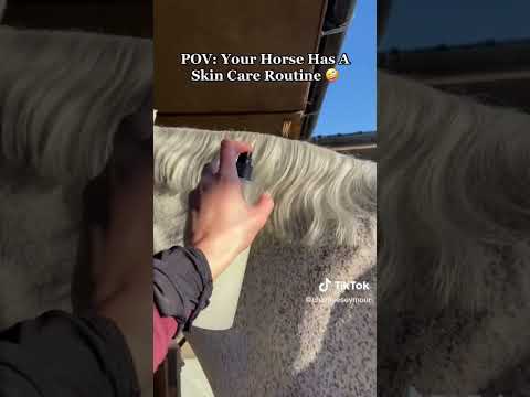 POV: your horse