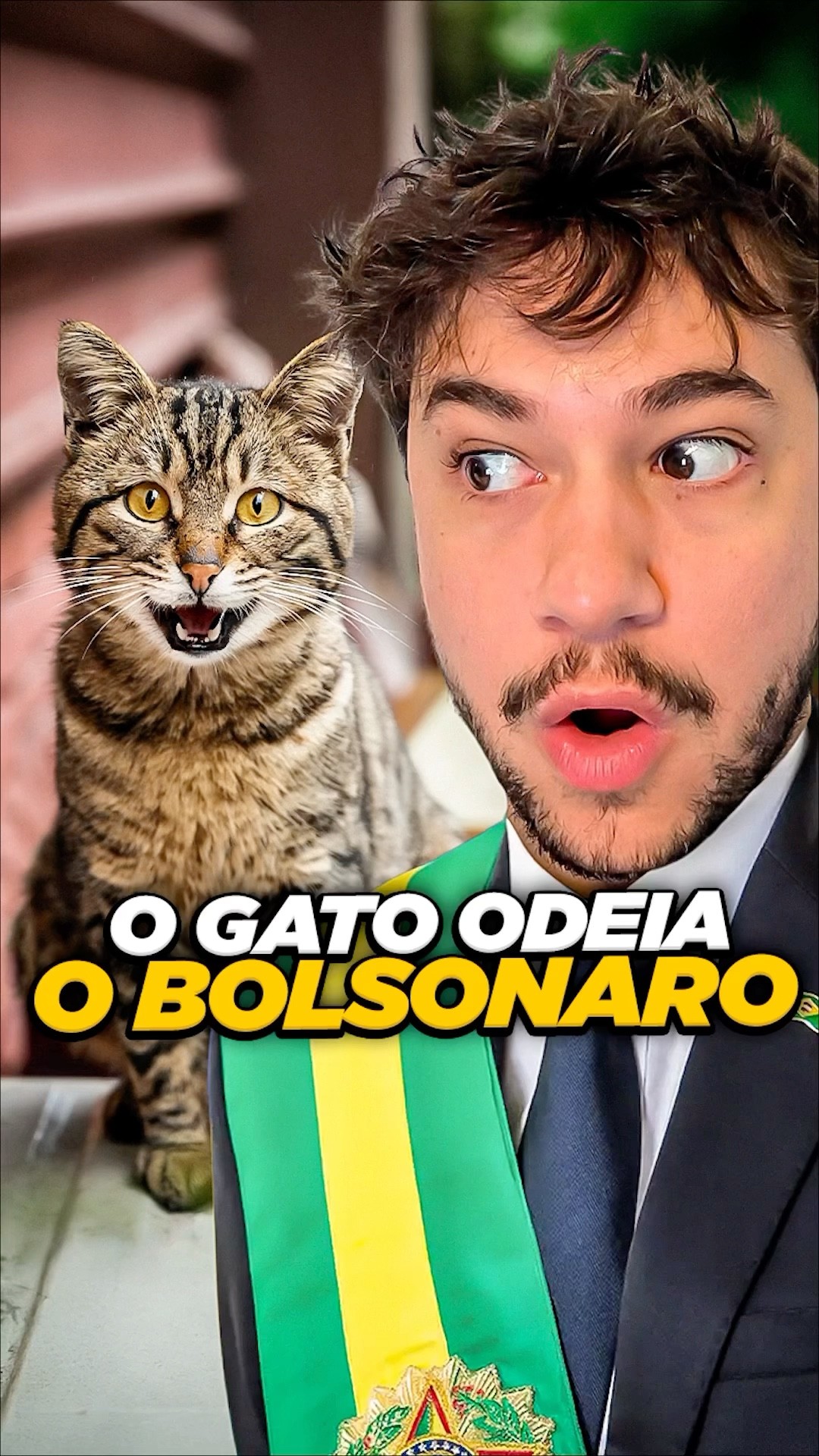 gato bolsonaro #livedobrino #humor #MundinhoBrino