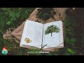 「無廣告版」沉浸在大自然中最放鬆讀書 ＆ 工作音樂 RELAX STUDYING MUSIC WITH NATURE SOUNDS