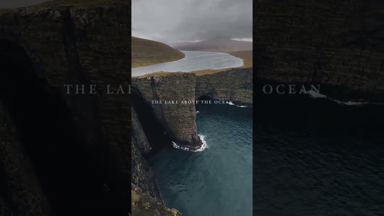 Unbelievable Moments You Have to See! 