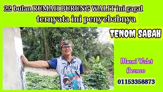 22 bulan RUMAH BURUNG WALIT ini gagal ternyata ini penyebabnya// TENOM SABAH