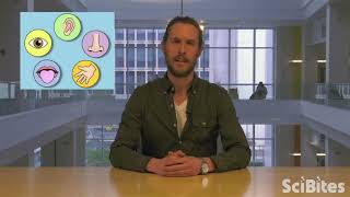 NIH SciBites:  The Body's  Sixth Sense