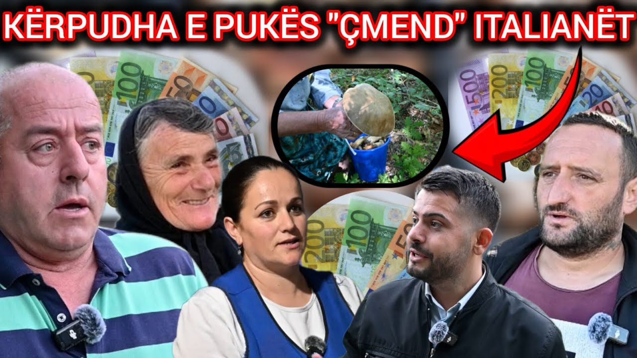 Deri në 45€ kg, Europa “çmendet” pas kërpudhës porçin që rritet në Pukë
